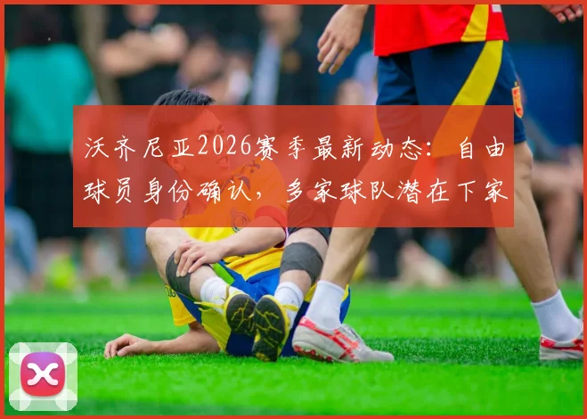 沃齐尼亚2026赛季最新动态:自由球员身份确认,多家球队潜在下家分析与签约前景解读