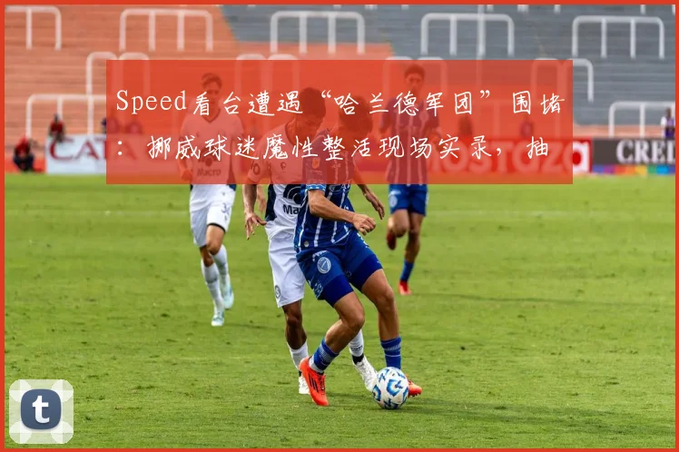 Speed看台遭遇“哈兰德军团”围堵：挪威球迷魔性整活现场实录，抽象文化引爆网络